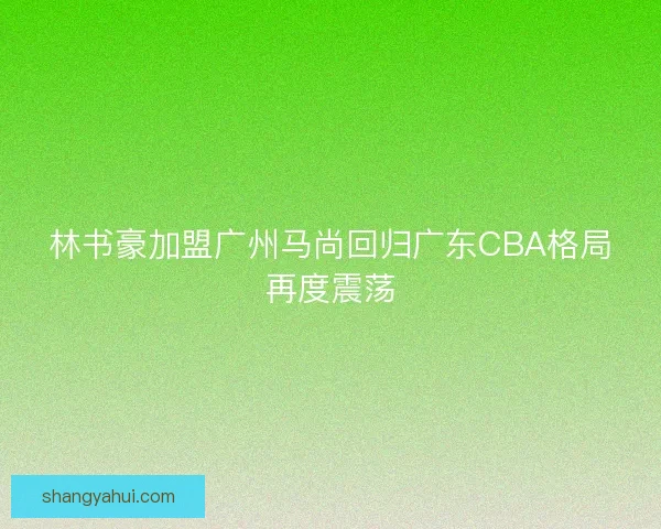 林书豪加盟广州马尚回归广东CBA格局再度震荡