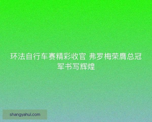 环法自行车赛精彩收官 弗罗梅荣膺总冠军书写辉煌 环法自行车赛精彩收官 弗罗梅荣膺总冠军书写辉煌